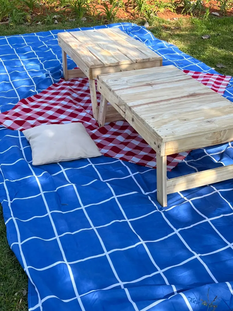 PICNIC CELEBRAR ADULTO/35 a 40 pessoas